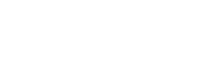 Ethereal Decibel Company